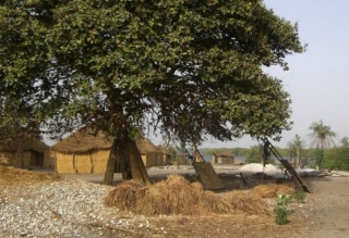  Subir a caballo en Senegal 